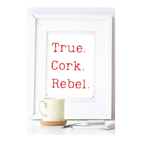 1000001907 | Rebel City Walking Tour of Cork